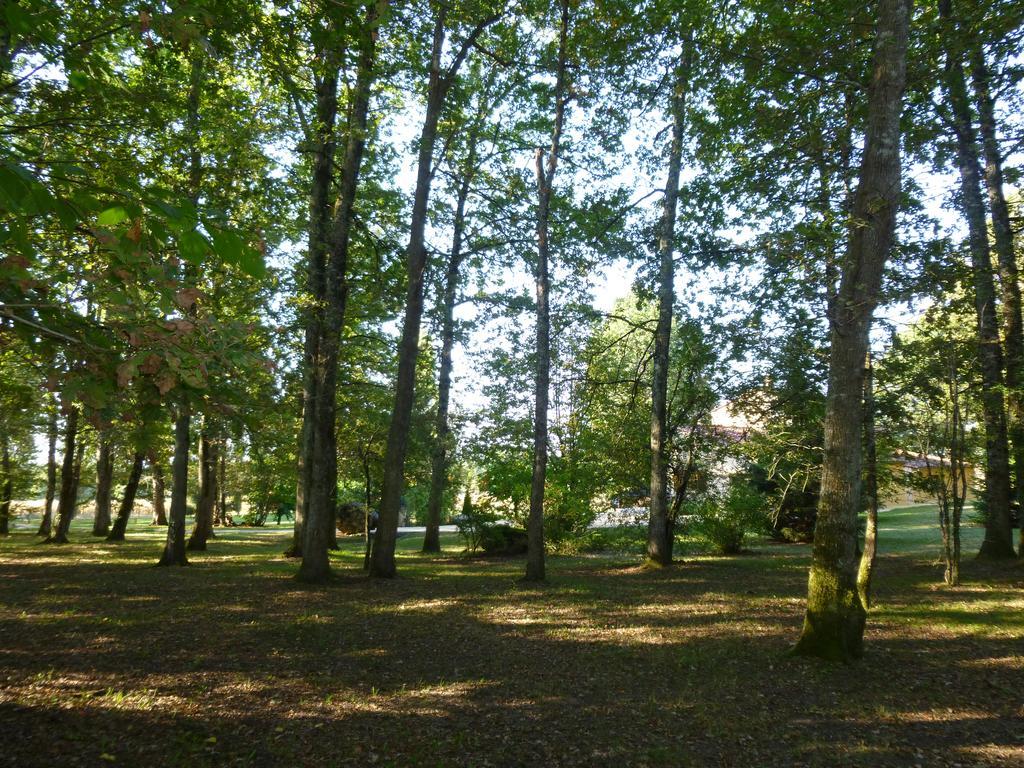 Maison De Vacances Macou 2 Capdrot Экстерьер фото